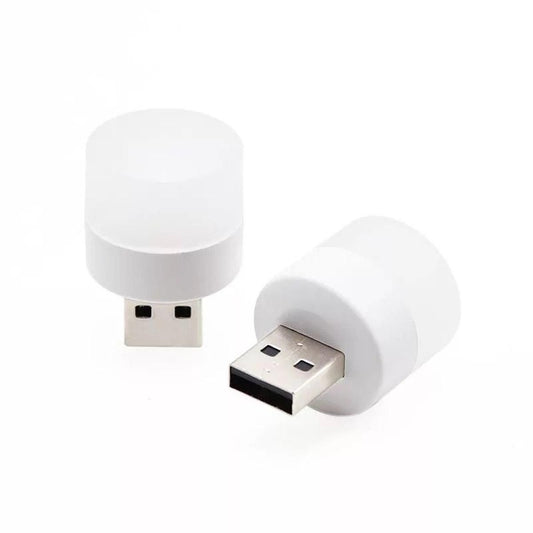 2 USB LED Light